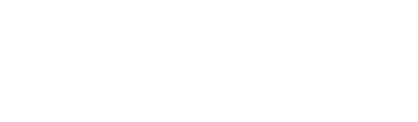 insight-education-group-logo-white